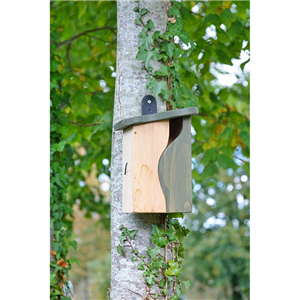 Simon King Curve Cavity Nest Box